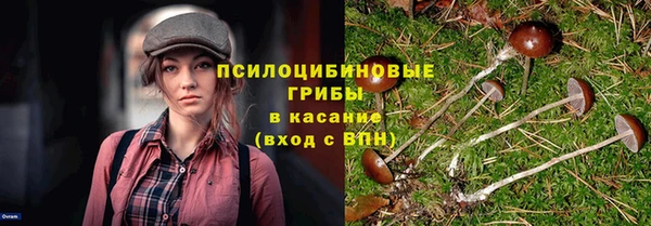 не бодяженный Армянск