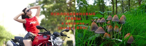 не бодяженный Армянск
