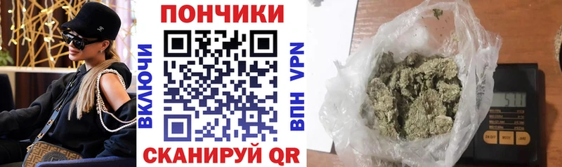 Бошки марихуана индика сайты даркнета формула Усинск наркотики